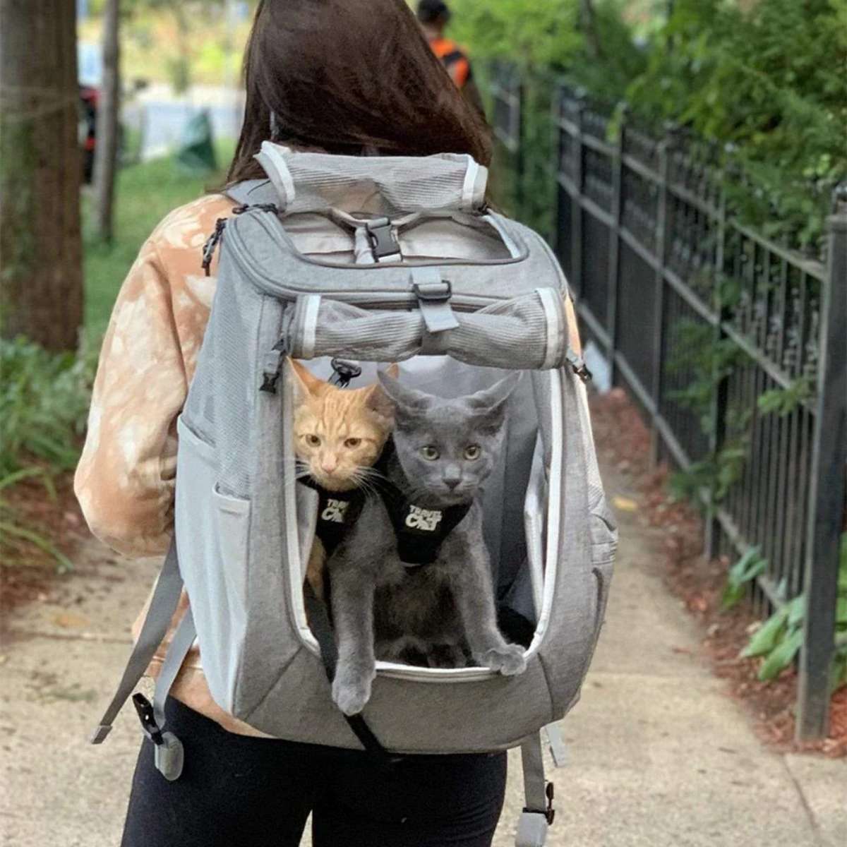 Travel CAT リュックキャリー