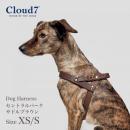 ハーネス 編革 Cloud7　クラウド7ハーネス セントラルパーク サドルブラウン XS/Sサイズ