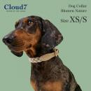 首輪 犬用 革 Cloud7 クラウド7 カラー ブローメン ネイチャー XS/Sサイズ Dog Collar Blomen Nature 海外直輸入【クロネコゆうパケット対応】