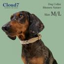 首輪 犬用 革 Cloud7 クラウド7 カラー ブローメン ネイチャー M/Lサイズ Dog Collar Blomen Nature 海外直輸入【クロネコゆうパケット対応】