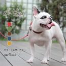 【 首輪 犬 】 ペッレ イングラッサ カロラータ カラー【サイズ 4】