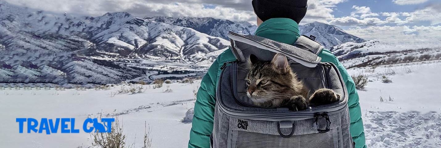 Travel CAT