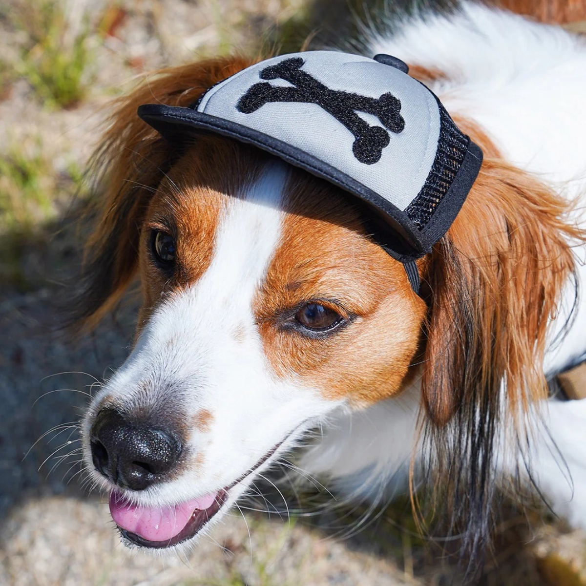 カスタムファンキャップ Custom Fun Cap