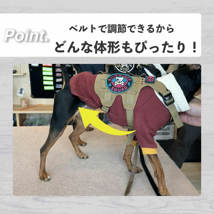 M5 ハーネス