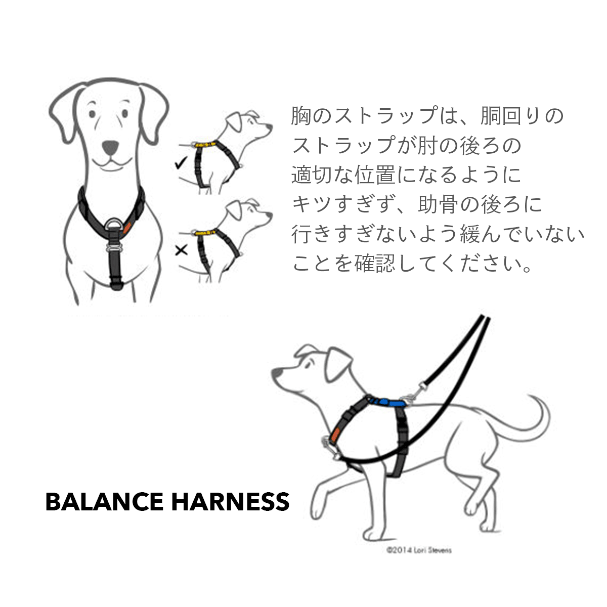 ハーネス 犬 バランスハーネス XS-Lサイズ 全9色 Blue-9 正規輸入品 