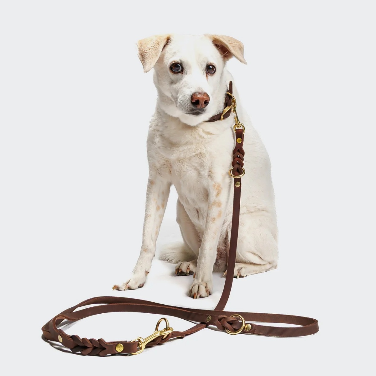 リーシュリバーサイドパーク