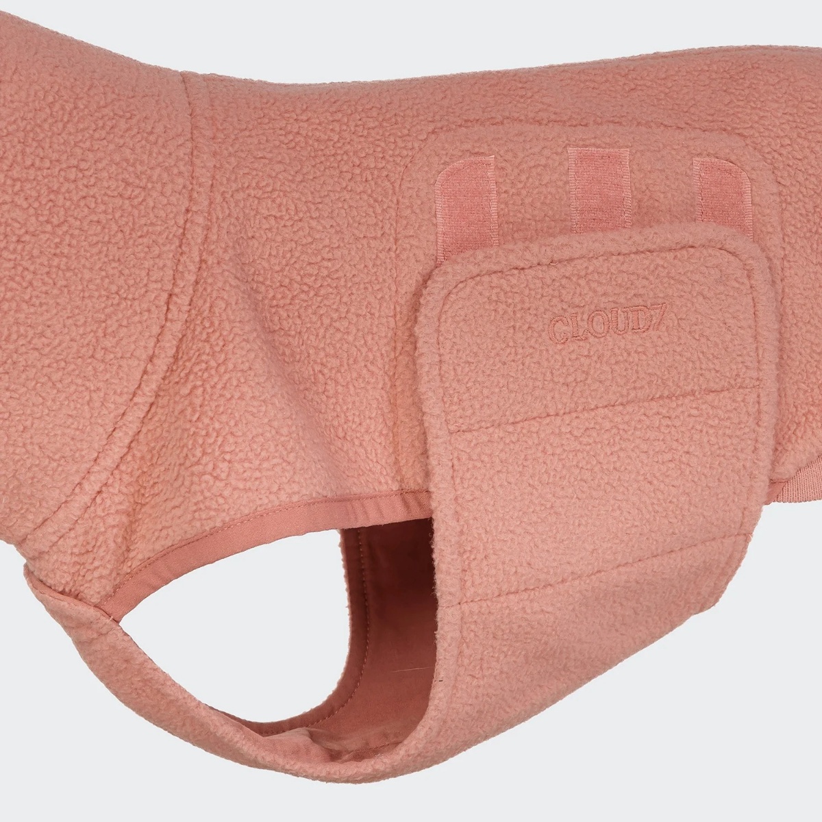 フリース ダービー