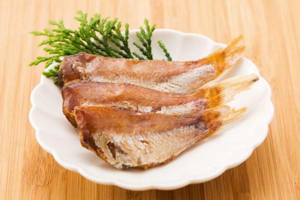 浜田ノドグロ　やわらか干物