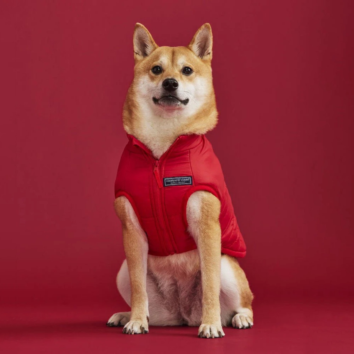  パファージャケット