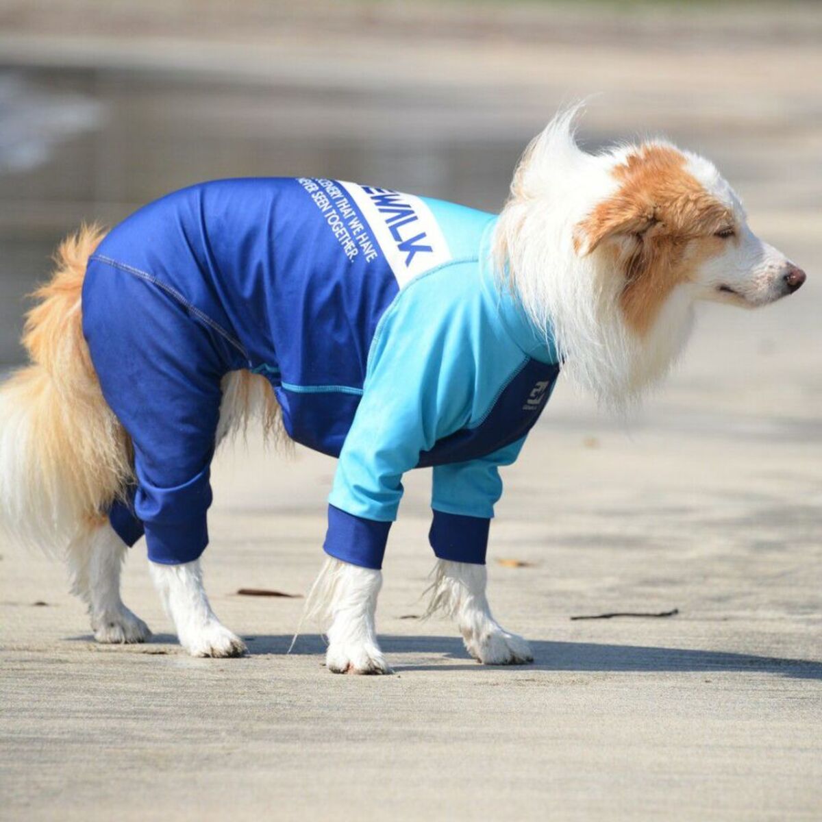 GEWALK ロンパース