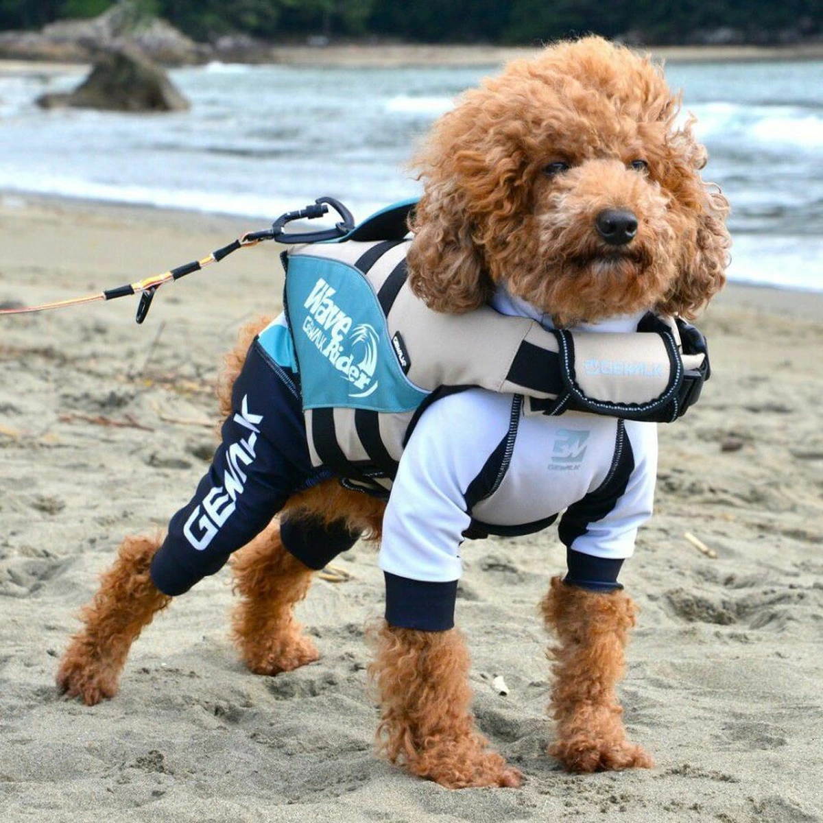 ウェーブライダーエコ