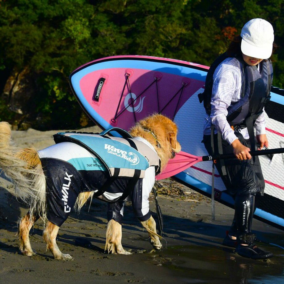 ウェーブライダー