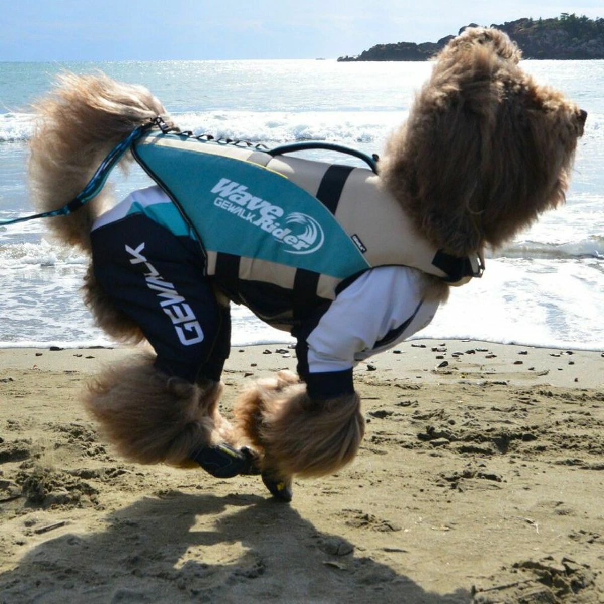 ウェーブライダーエコ