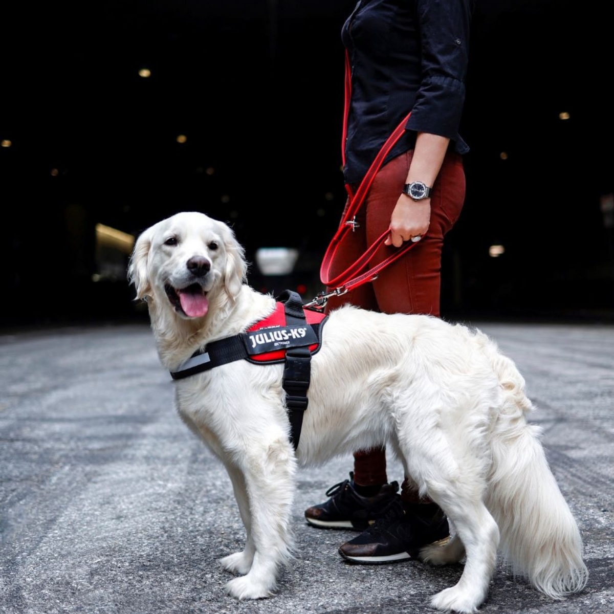 スーパーグリップリード