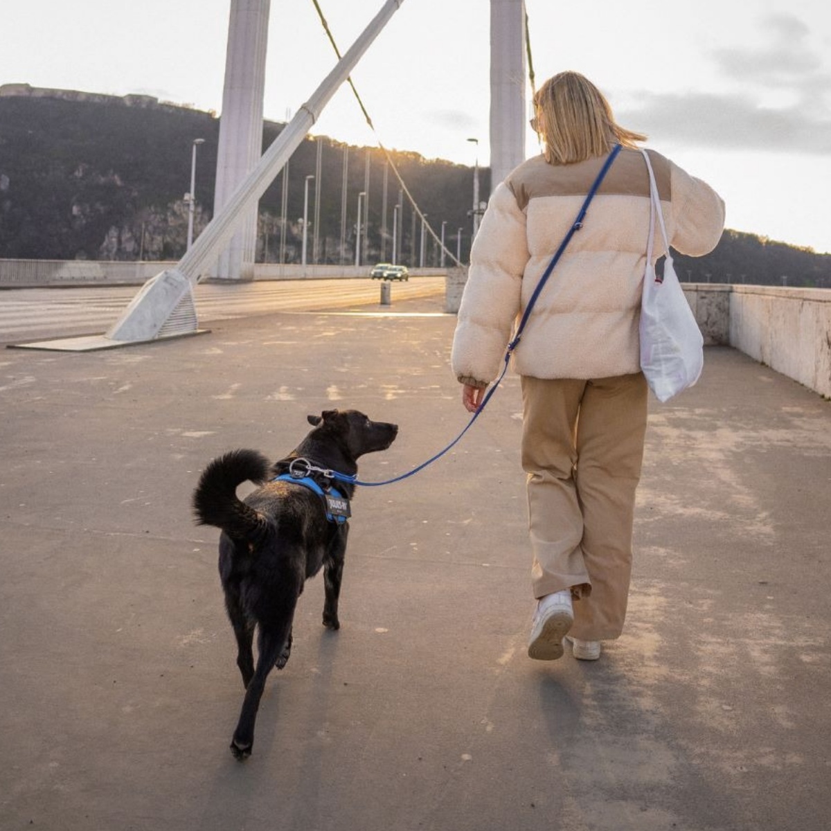 スーパーグリップリード