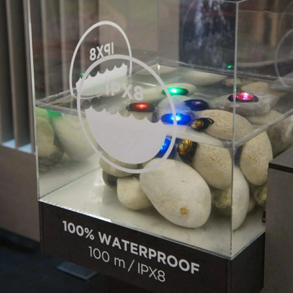 ドッグ デュアルライト