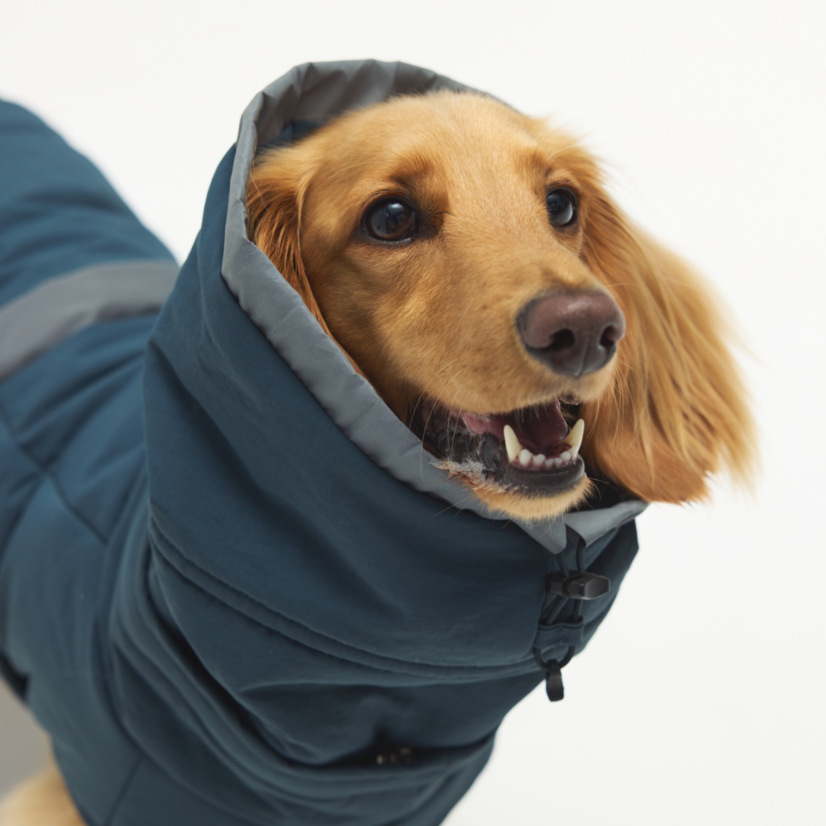 ウィンタージャケット 2.0 エクストリーム