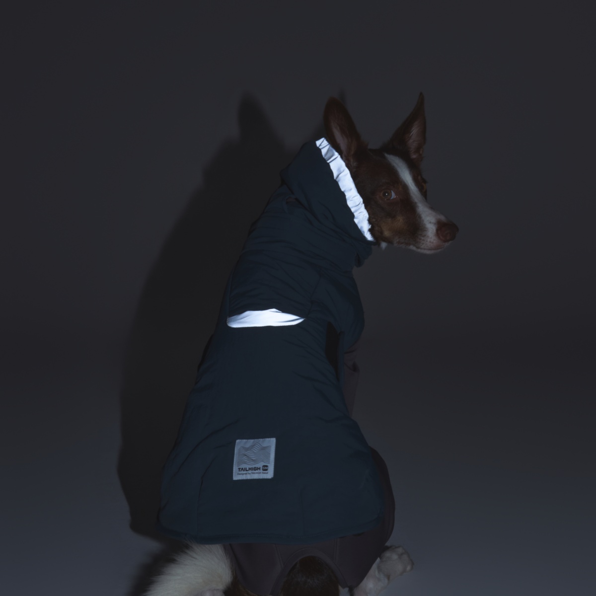 ウィンタージャケット 2.0 エクストリーム