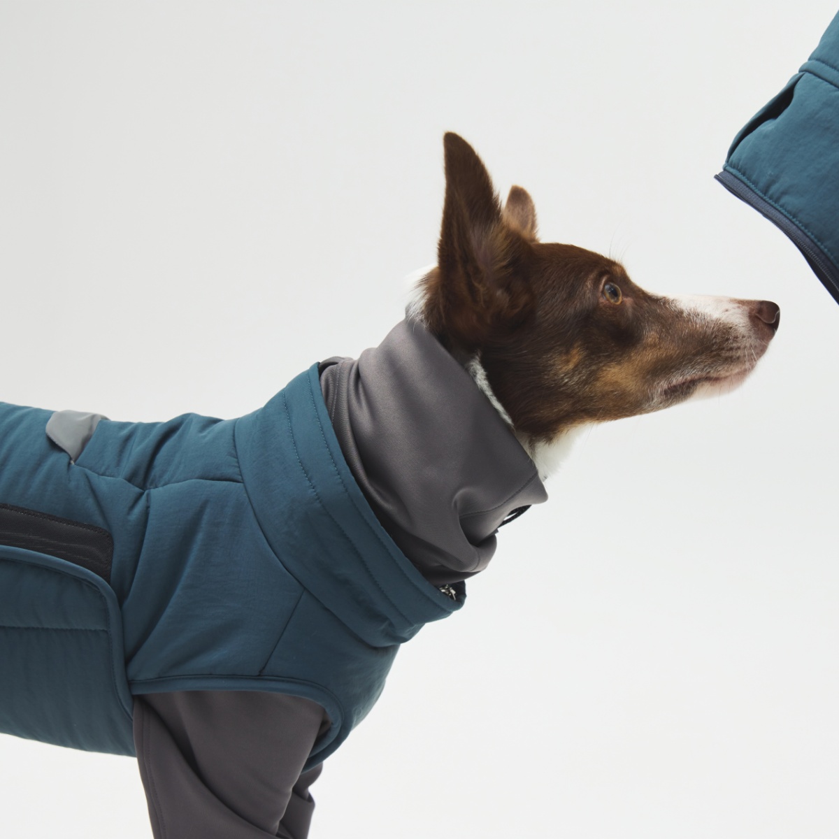 ウィンタージャケット 2.0 エクストリーム