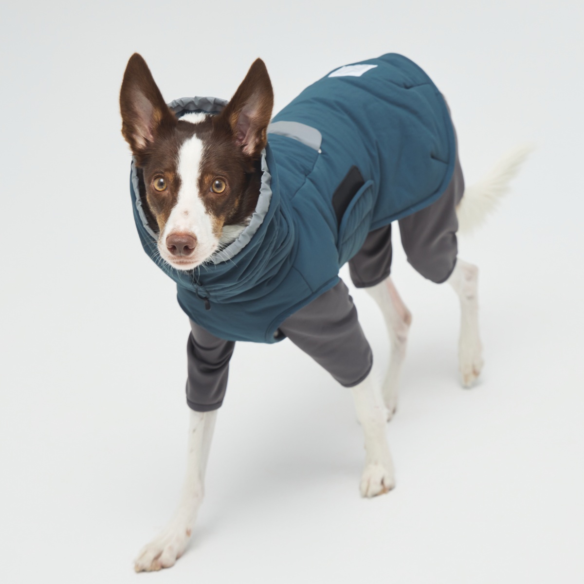 ウィンタージャケット 2.0 エクストリーム