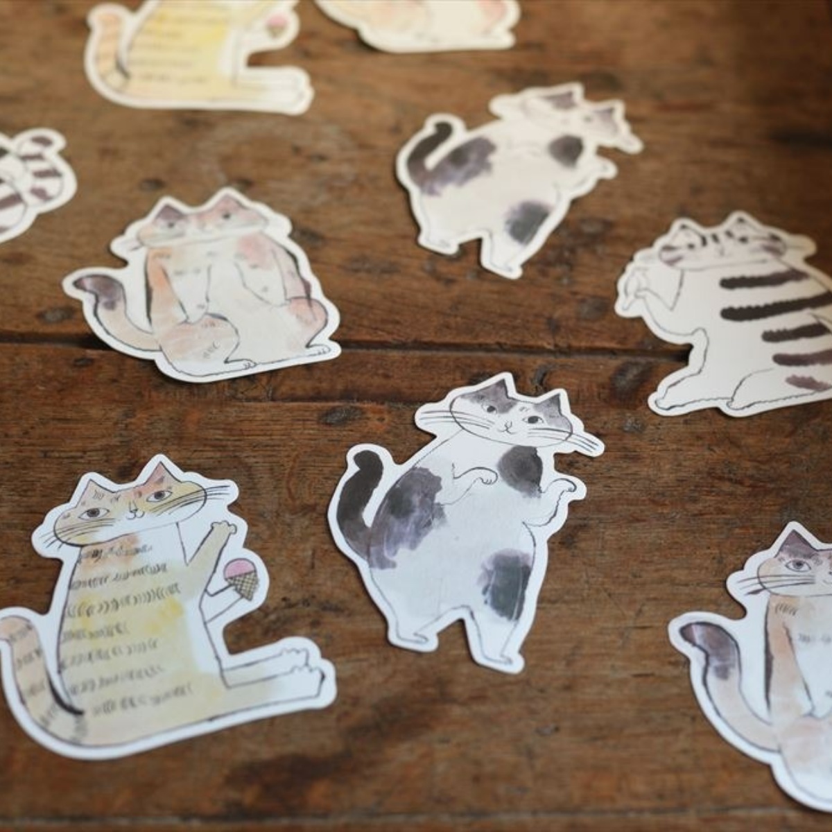 トラネコボンボ