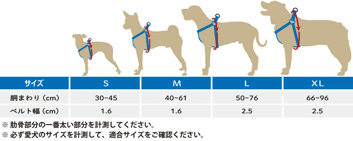 ウルフギャング