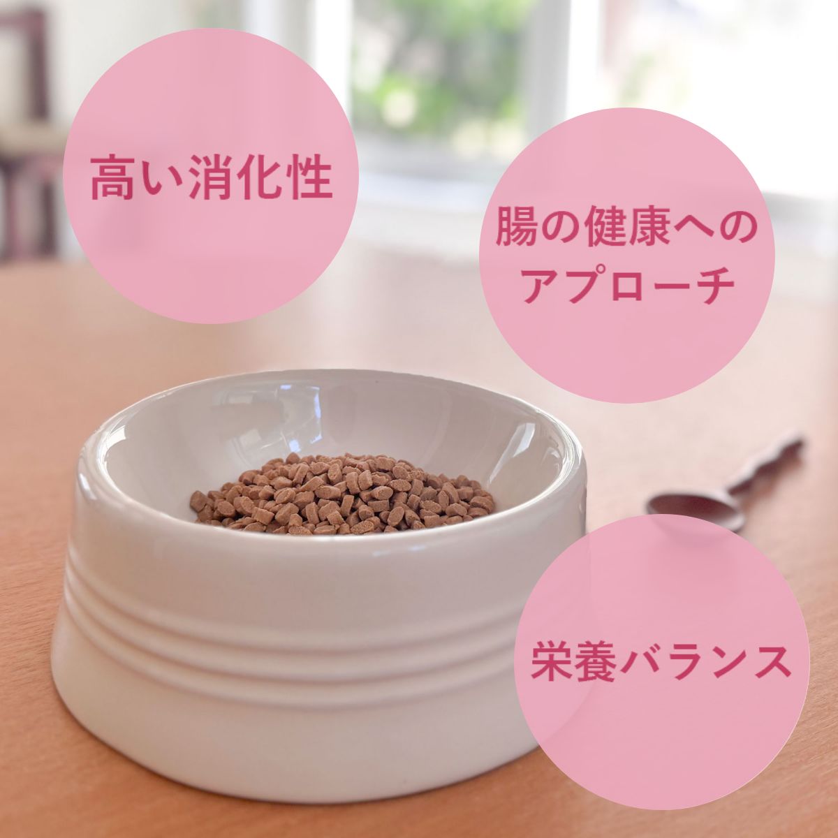 YumYumYum! 健康マネジメント消化サポート