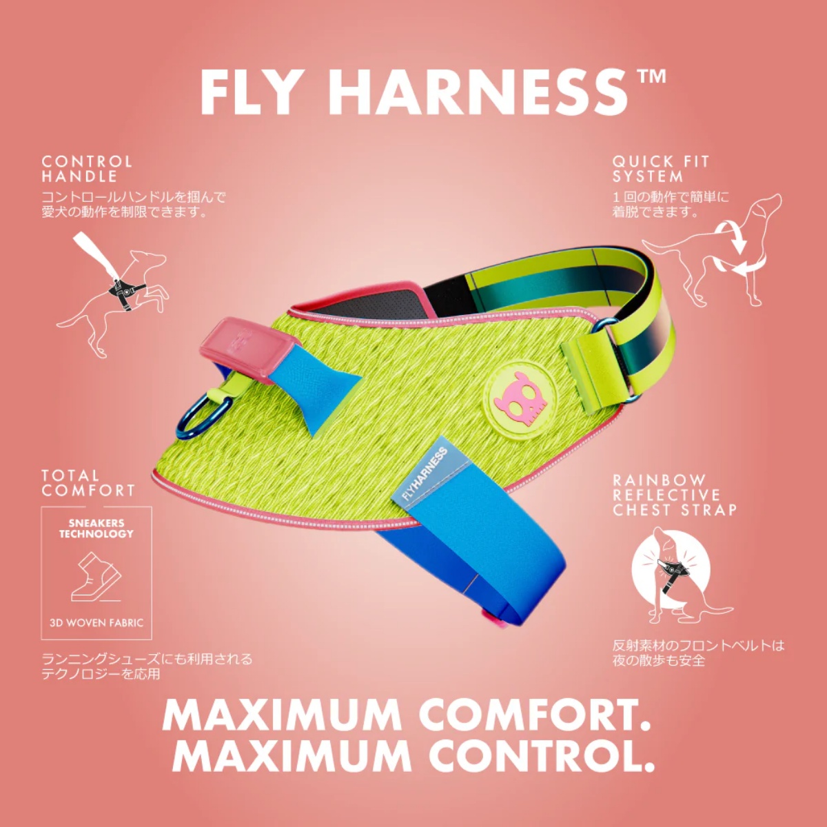 フライハーネス