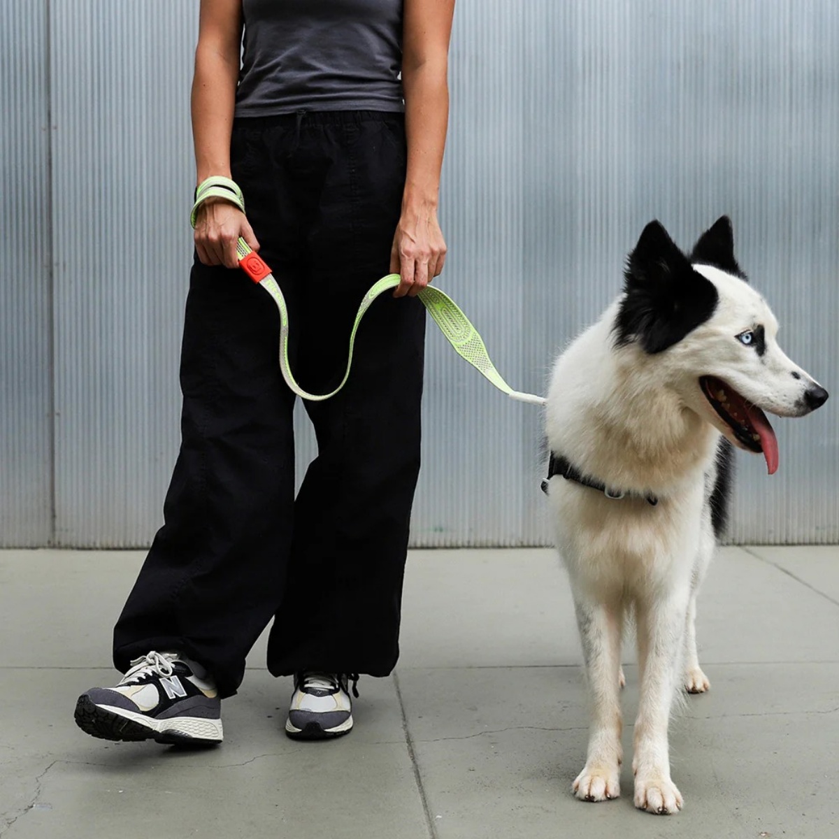 ニットリーシュ